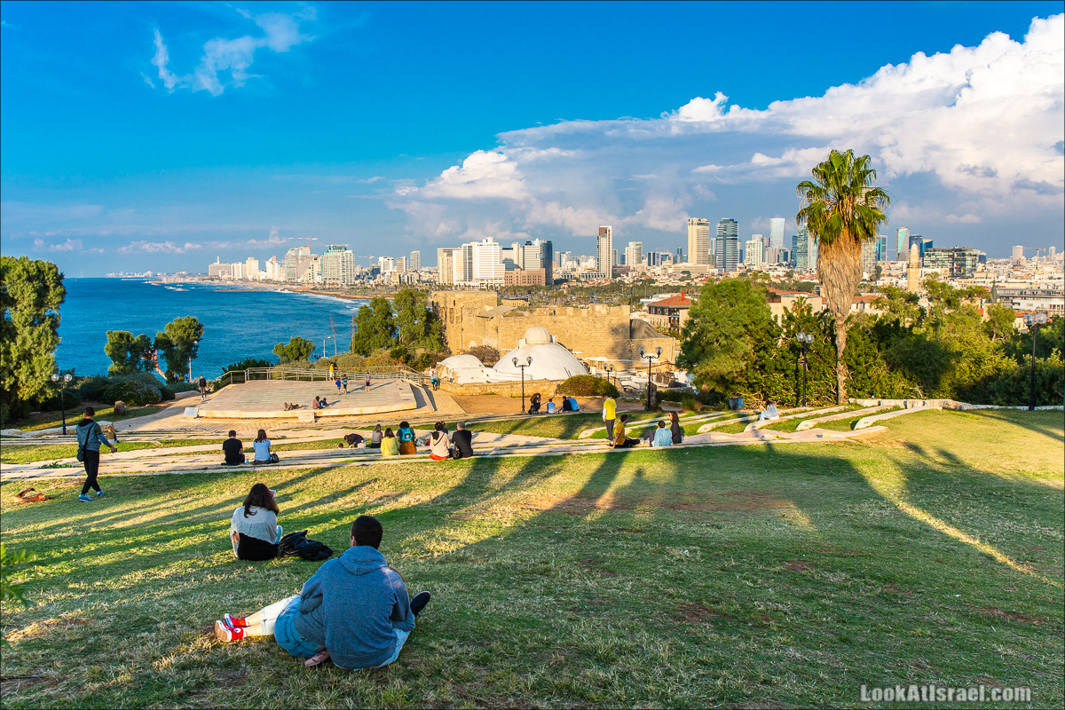 Случайные фотографии из жизни Яффо 33