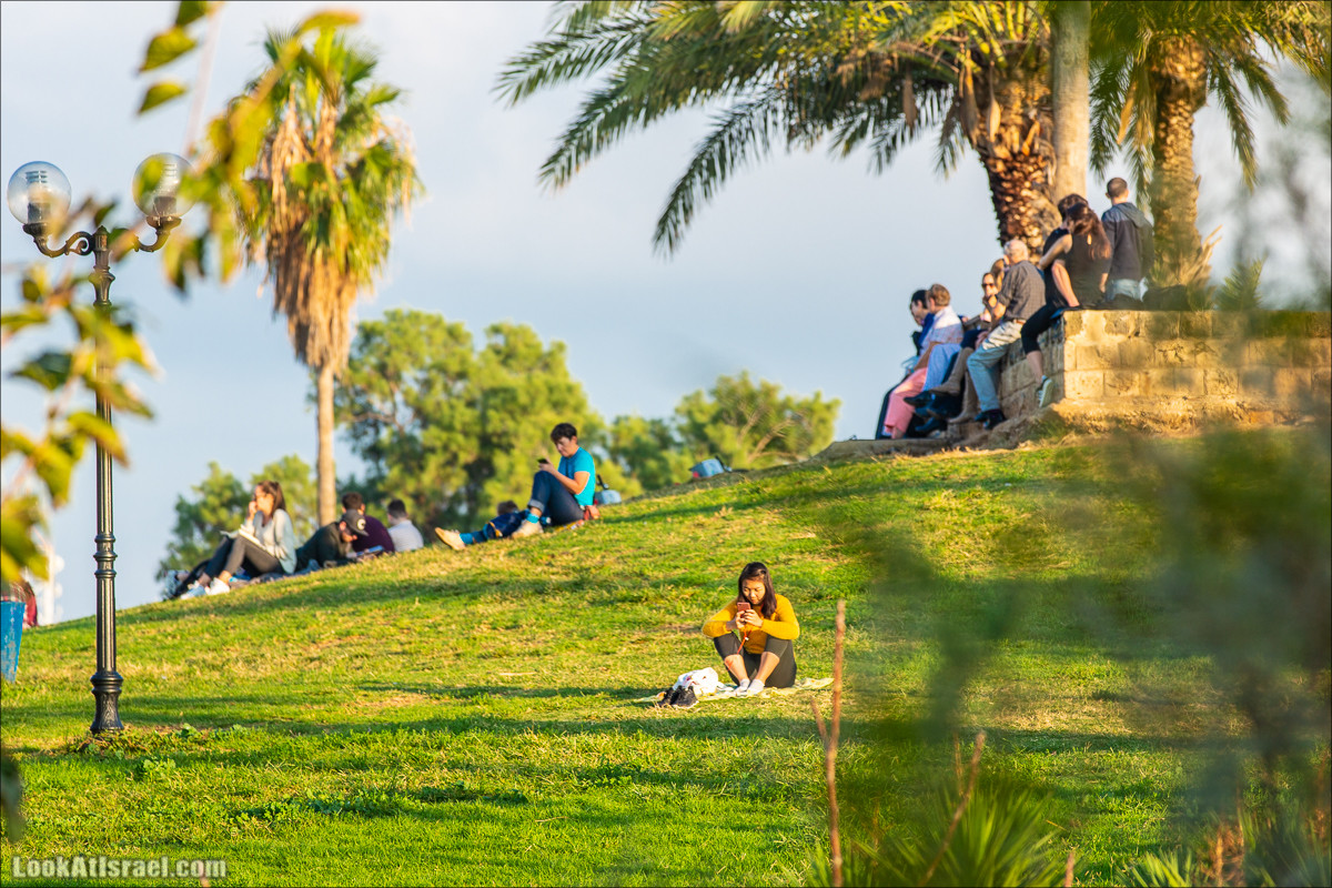 Случайные фотографии из жизни Яффо | LookAtIsrael.com - Фото путешествия по Израилю