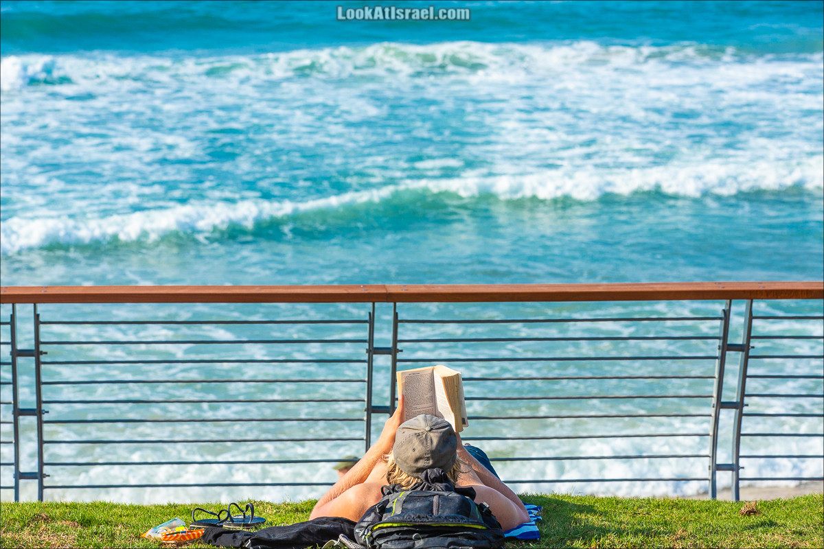 Крошки Тель-Авива - случайные фотографии из жизни Тель-Авива | LookAtIsrael.com - Фото путешествия по Израилю