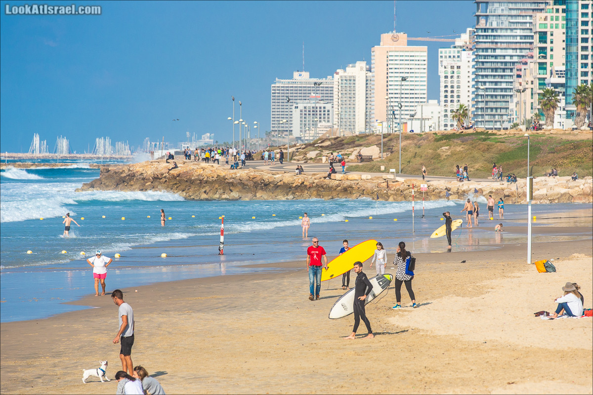 Крошки Тель-Авива - случайные фотографии из жизни Тель-Авива | LookAtIsrael.com - Фото путешествия по Израилю