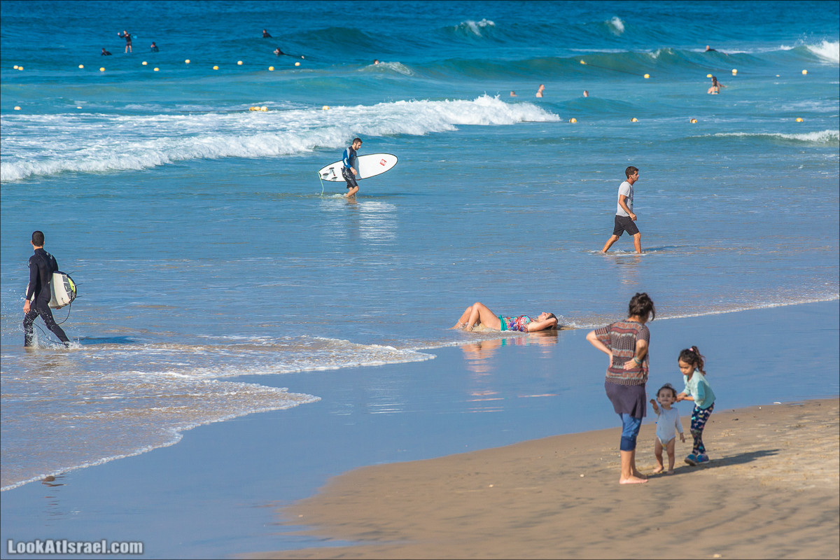 Крошки Тель-Авива - случайные фотографии из жизни Тель-Авива | LookAtIsrael.com - Фото путешествия по Израилю