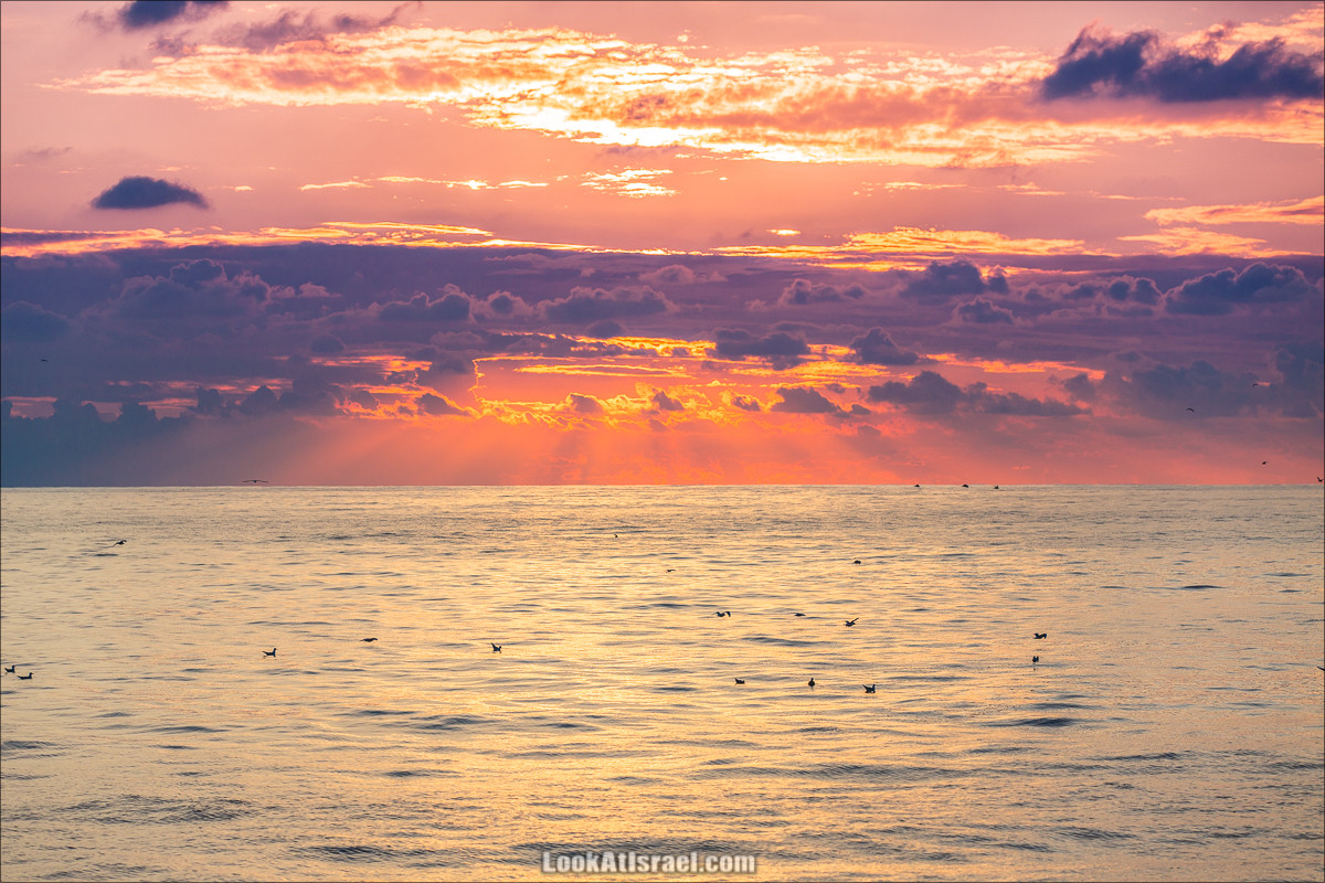 Закат в Яффо | LookAtIsrael.com - Фото путешествия по Израилю
