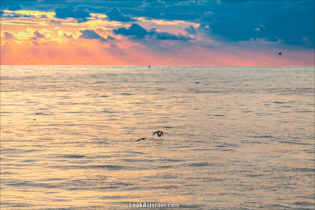 Закат в Яффо | LookAtIsrael.com - Фото путешествия по Израилю