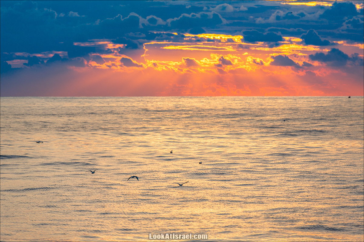 Закат в Яффо | LookAtIsrael.com - Фото путешествия по Израилю