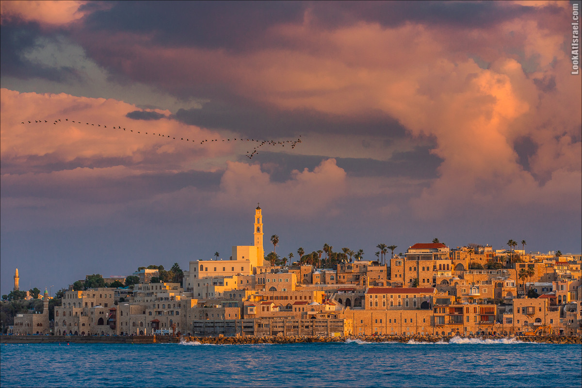Закат в Яффо | LookAtIsrael.com - Фото путешествия по Израилю