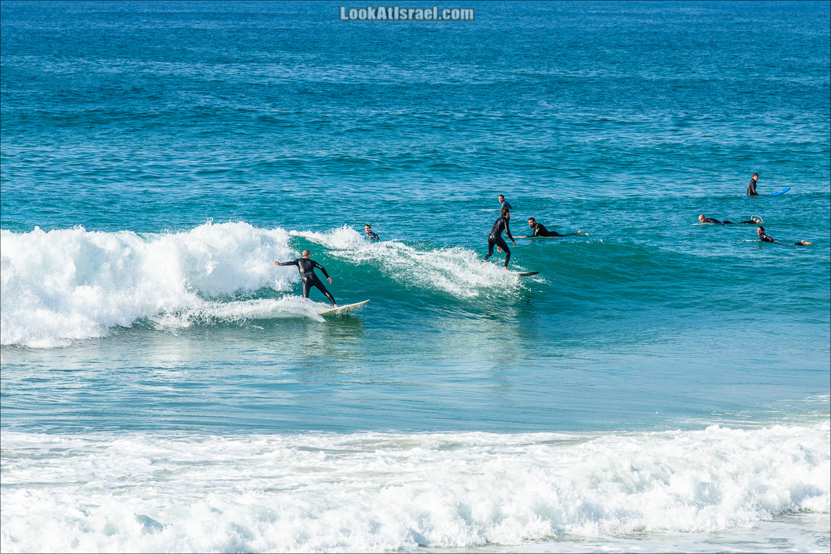 Крошки Тель-Авива - случайные фотографии из жизни Тель-Авива | LookAtIsrael.com - Фото путешествия по Израилю