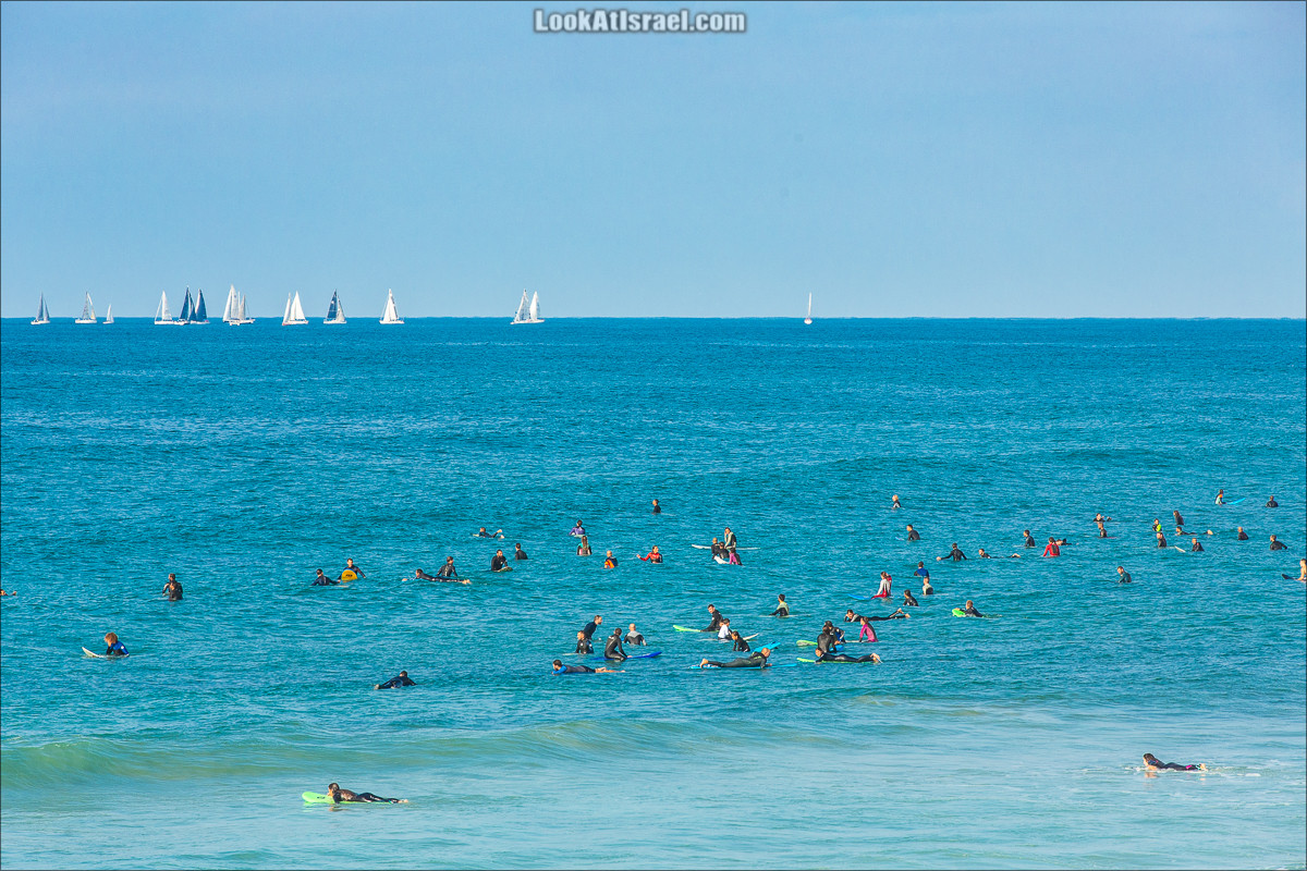 Крошки Тель-Авива - случайные фотографии из жизни Тель-Авива | LookAtIsrael.com - Фото путешествия по Израилю
