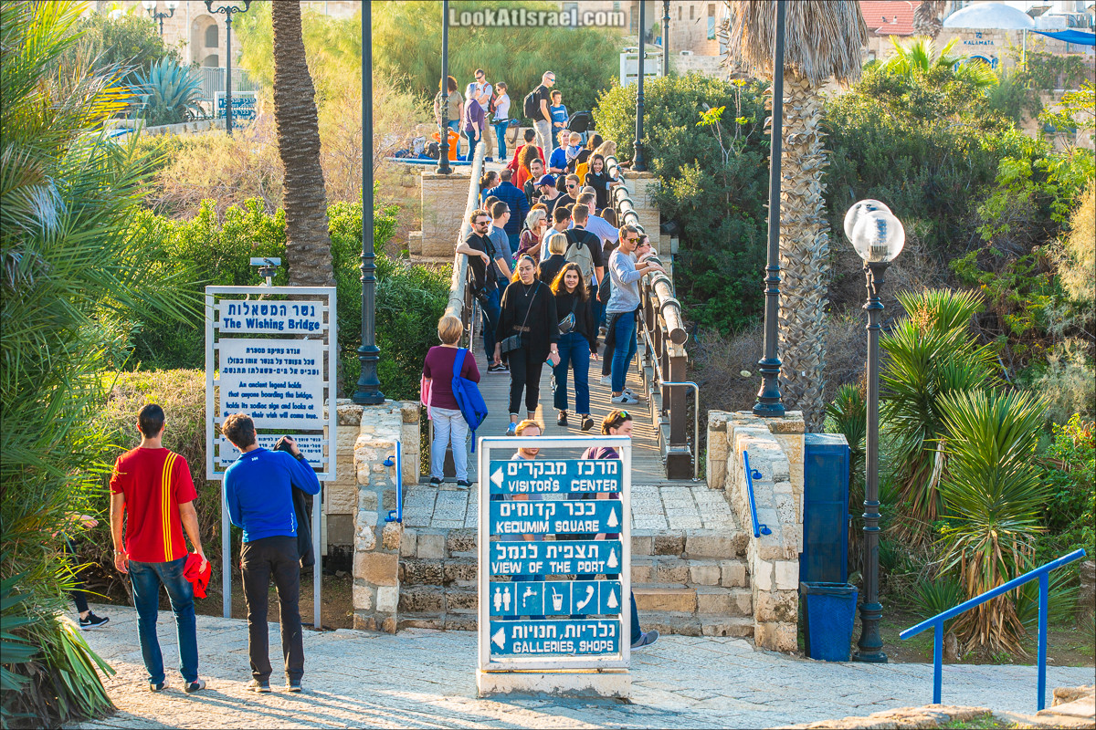 Случайные фотографии из жизни Яффо | LookAtIsrael.com - Фото путешествия по Израилю