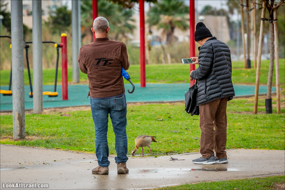 Человек фотографирующий | Тель-Авив Яффо | LookAtIsrael.com - Фото путешествия по Израилю