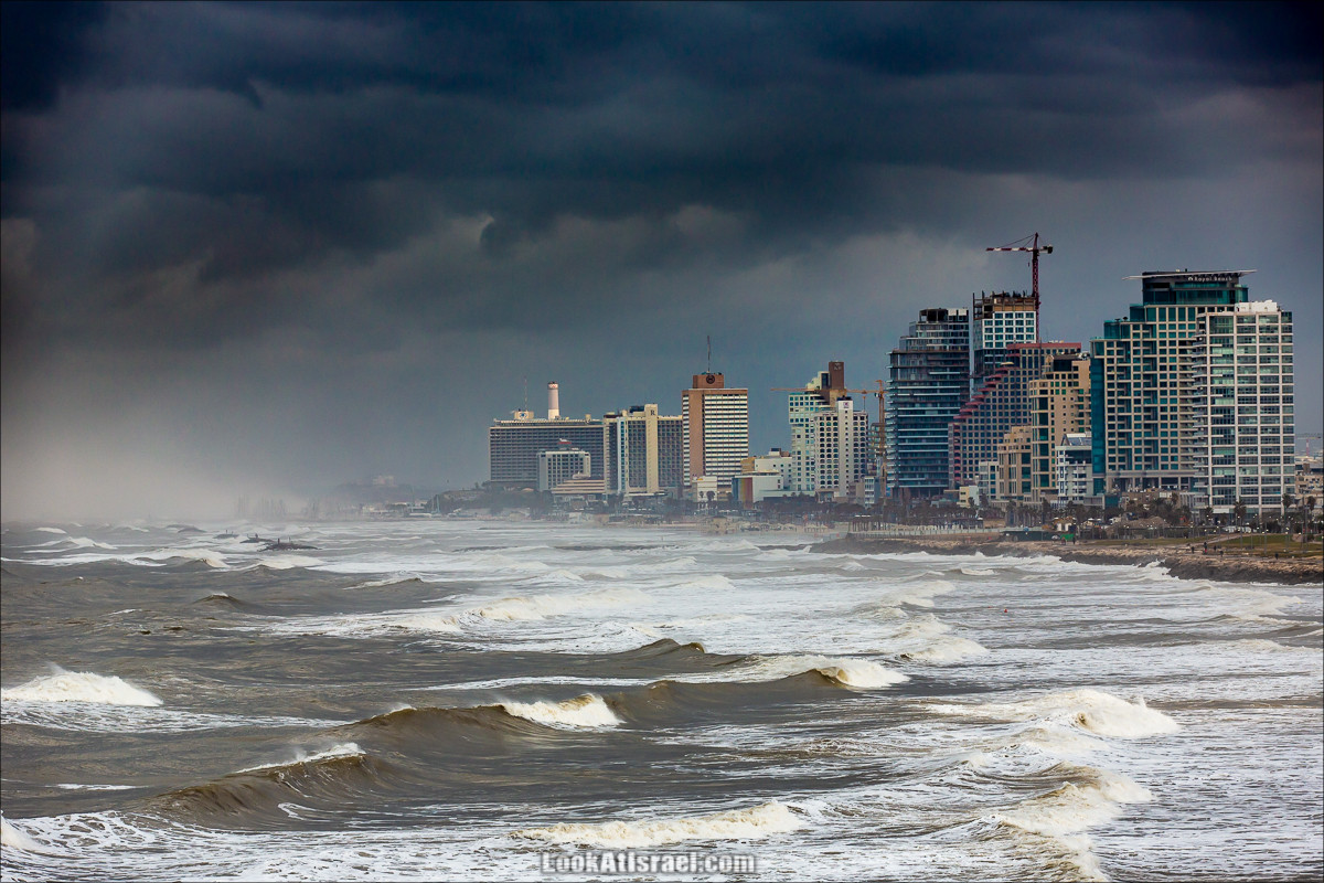 Одно фото 16%