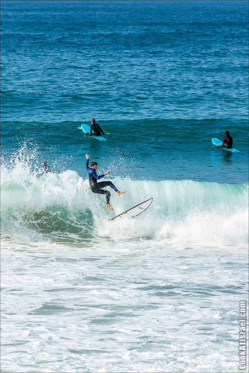 Крошки Тель-Авива - случайные фотографии из жизни Тель-Авива | LookAtIsrael.com - Фото путешествия по Израилю