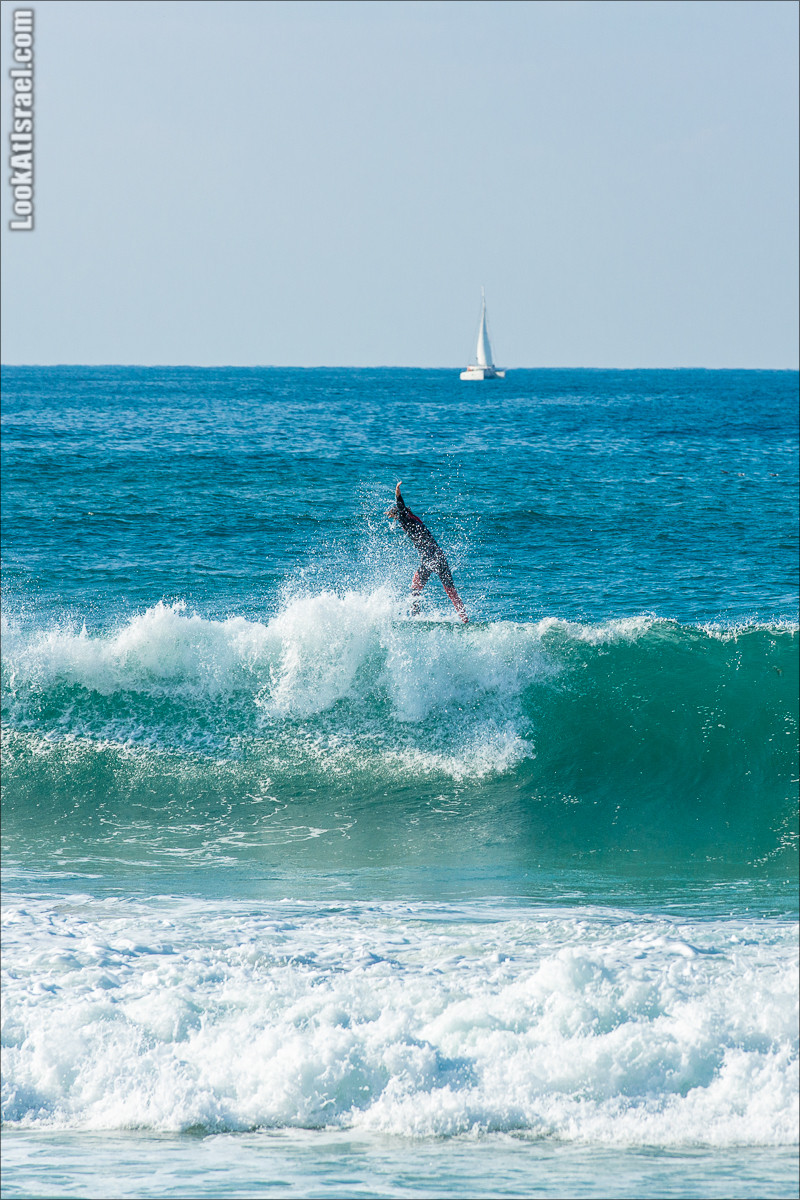 Крошки Тель-Авива - случайные фотографии из жизни Тель-Авива | LookAtIsrael.com - Фото путешествия по Израилю