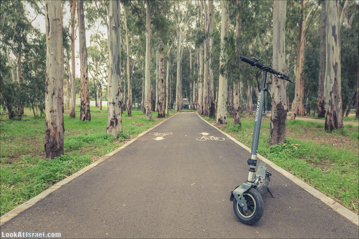 Scoot-air Scootair | Первый израильский электрический самокат | First israeli electrical scooter | סקוטאייר - קורקינט חשמלי ישראלי | LookAtIsrael.com - Фото путешествия по Израилю