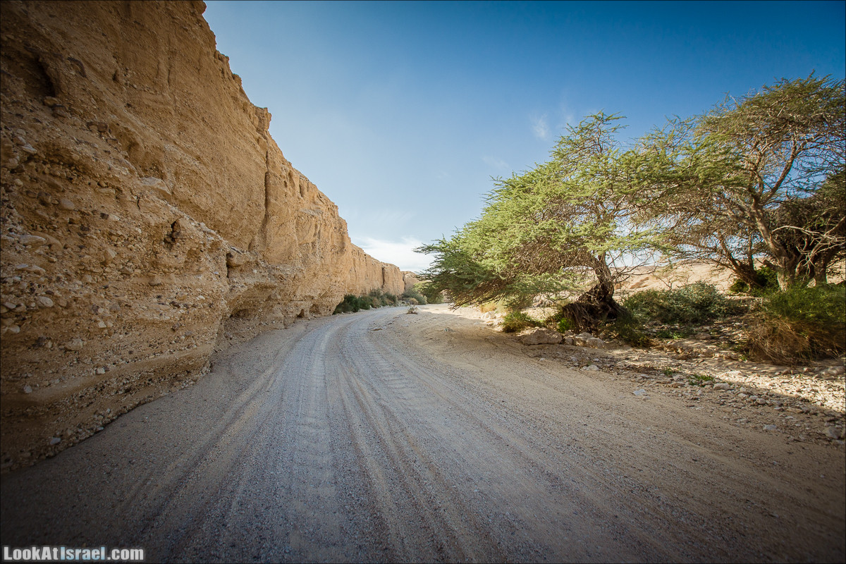 Гора Масор, ручей Шахак | Mount Masor and Sahak stream | הר מסור ונחל שחק | LookAtIsrael.com - Фото путешествия по Израилю
