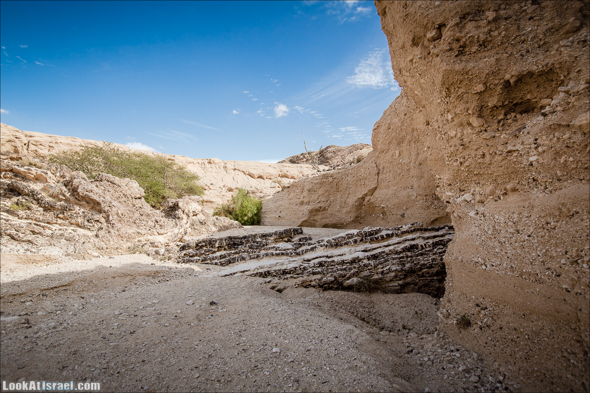 Гора Масор, ручей Шахак | Mount Masor and Sahak stream | הר מסור ונחל שחק | LookAtIsrael.com - Фото путешествия по Израилю
