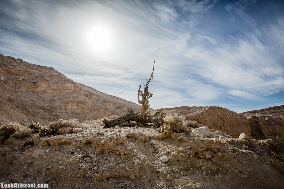 Гора Масор, ручей Шахак | Mount Masor and Sahak stream | הר מסור ונחל שחק | LookAtIsrael.com - Фото путешествия по Израилю
