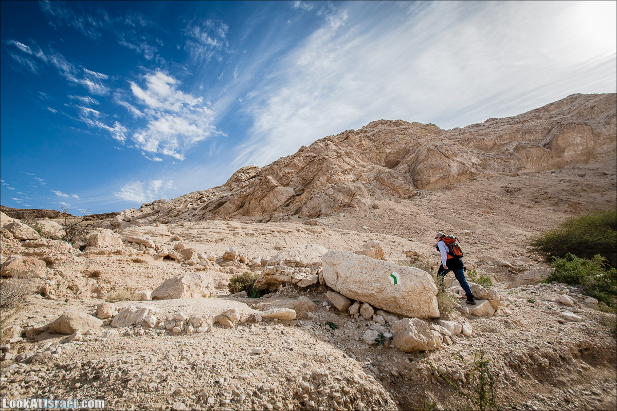 Гора Масор, ручей Шахак | Mount Masor and Sahak stream | הר מסור ונחל שחק | LookAtIsrael.com - Фото путешествия по Израилю