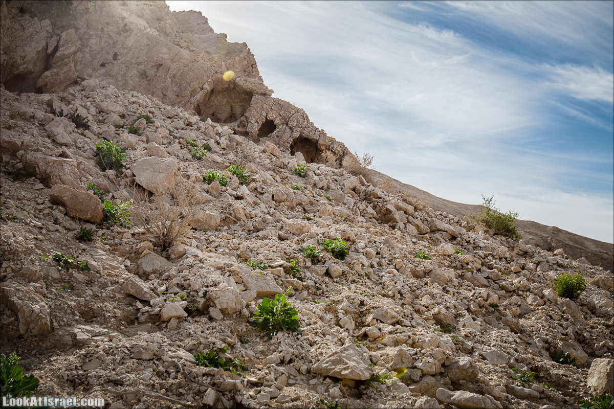 Гора Масор, ручей Шахак | Mount Masor and Sahak stream | הר מסור ונחל שחק | LookAtIsrael.com - Фото путешествия по Израилю