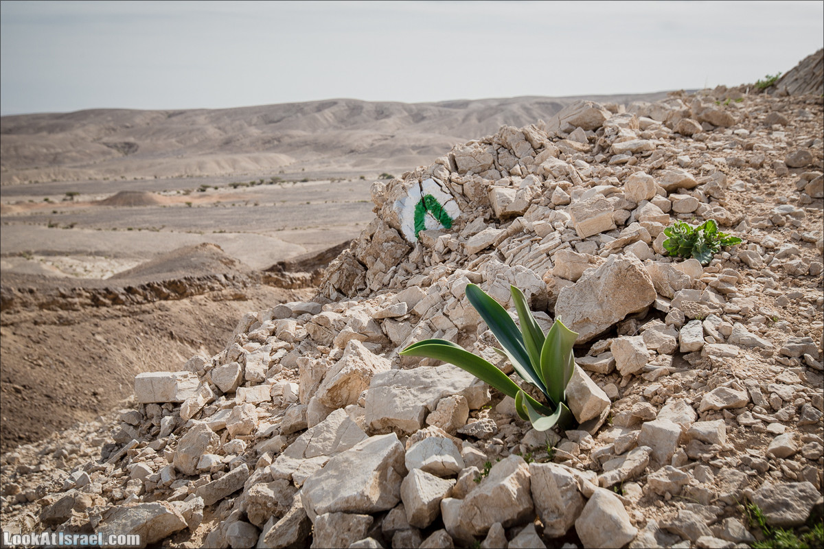 Гора Масор, ручей Шахак | Mount Masor and Sahak stream | הר מסור ונחל שחק | LookAtIsrael.com - Фото путешествия по Израилю