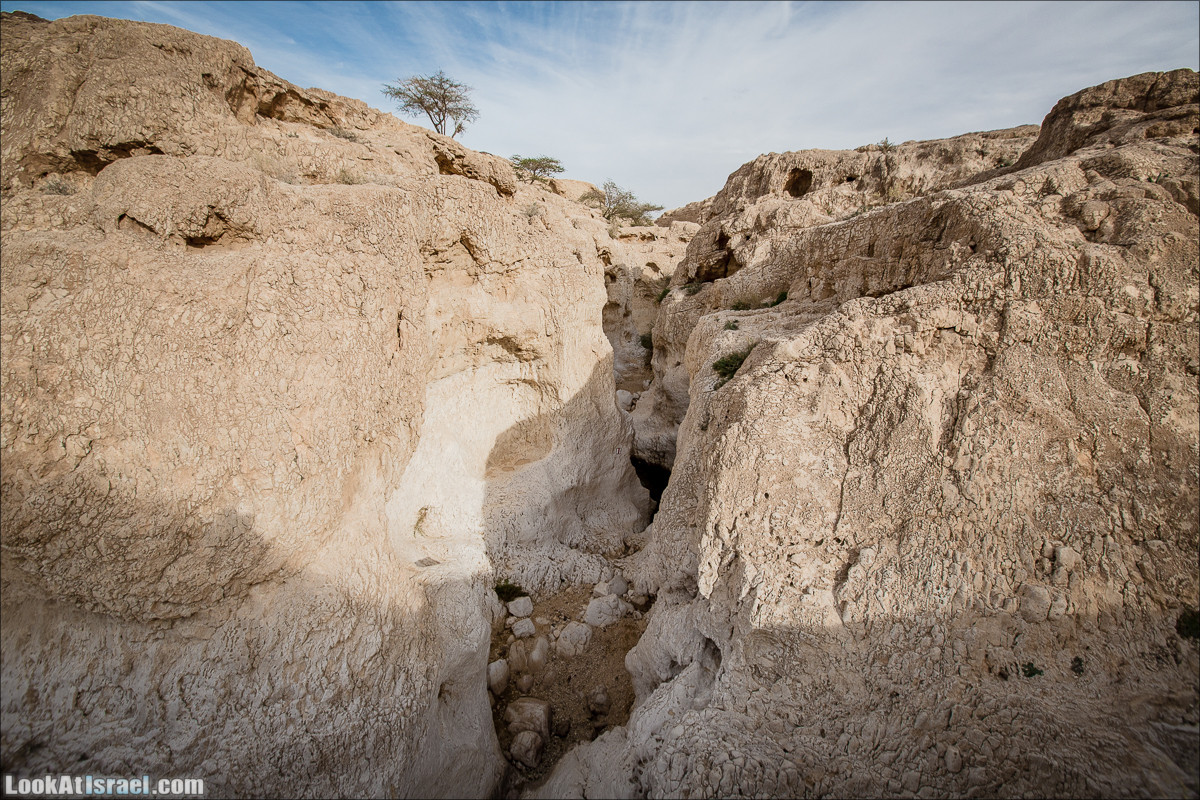 Гора Масор, ручей Шахак | Mount Masor and Sahak stream | הר מסור ונחל שחק | LookAtIsrael.com - Фото путешествия по Израилю