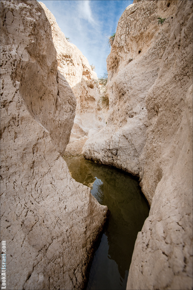 Гора Масор, ручей Шахак | Mount Masor and Sahak stream | הר מסור ונחל שחק | LookAtIsrael.com - Фото путешествия по Израилю