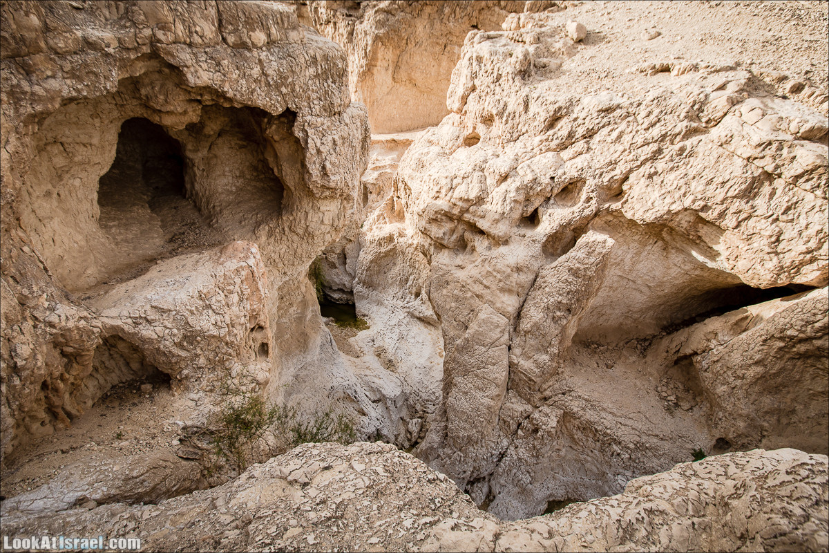 Гора Масор, ручей Шахак | Mount Masor and Sahak stream | הר מסור ונחל שחק | LookAtIsrael.com - Фото путешествия по Израилю