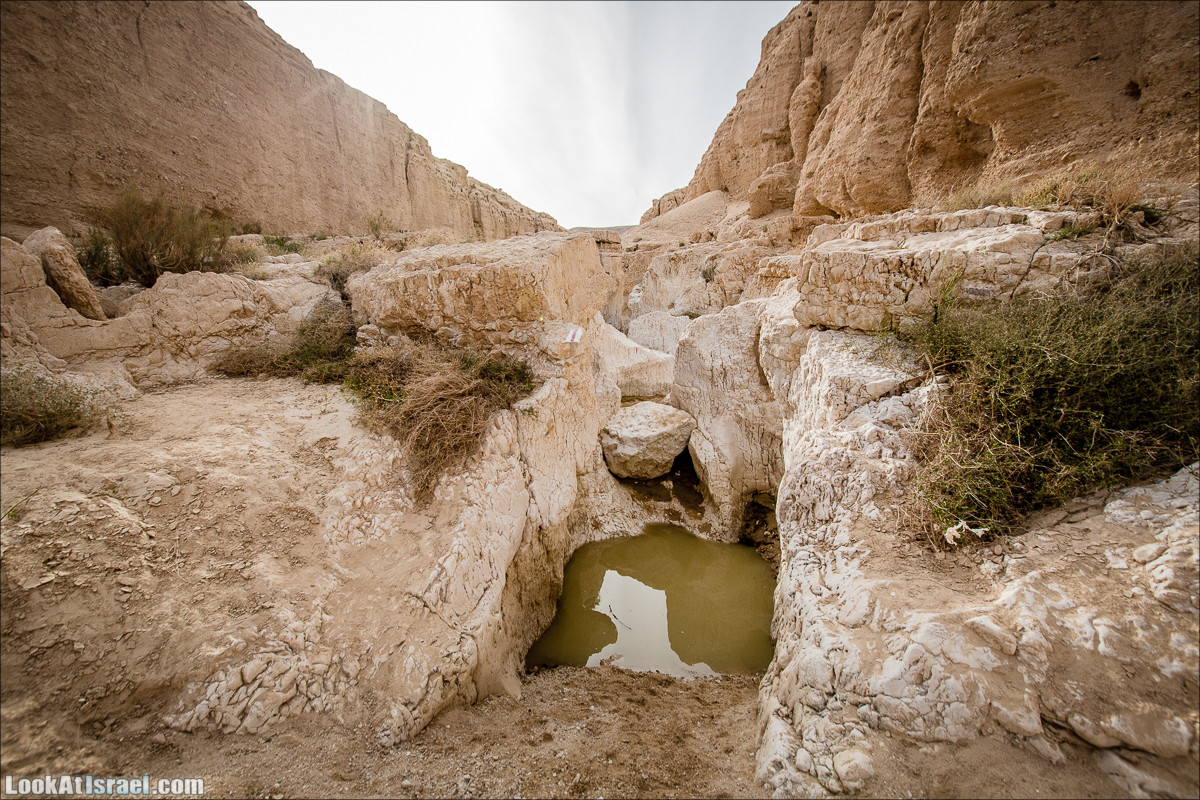 Гора Масор, ручей Шахак | Mount Masor and Sahak stream | הר מסור ונחל שחק | LookAtIsrael.com - Фото путешествия по Израилю