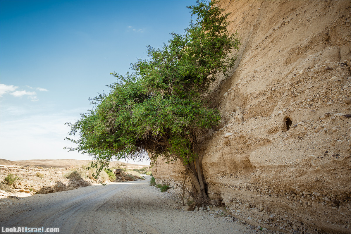 Гора Масор, ручей Шахак | Mount Masor and Sahak stream | הר מסור ונחל שחק | LookAtIsrael.com - Фото путешествия по Израилю