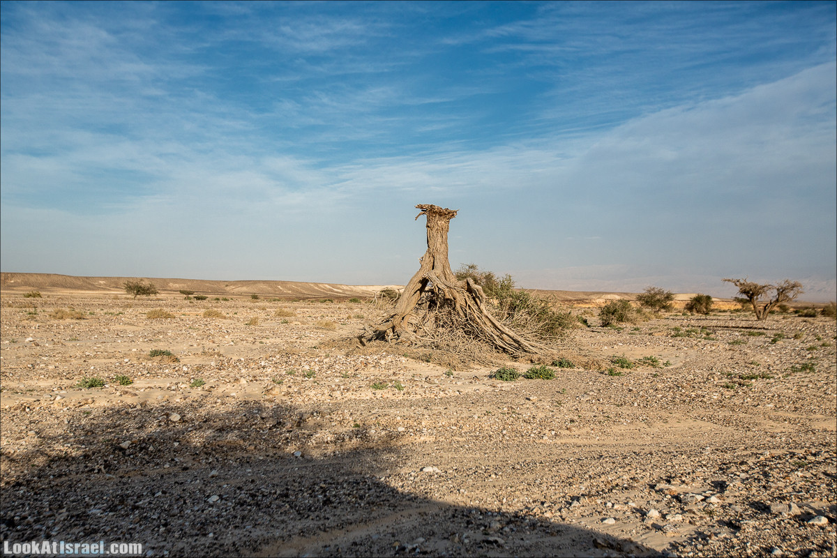 Гора Масор, ручей Шахак | Mount Masor and Sahak stream | הר מסור ונחל שחק | LookAtIsrael.com - Фото путешествия по Израилю