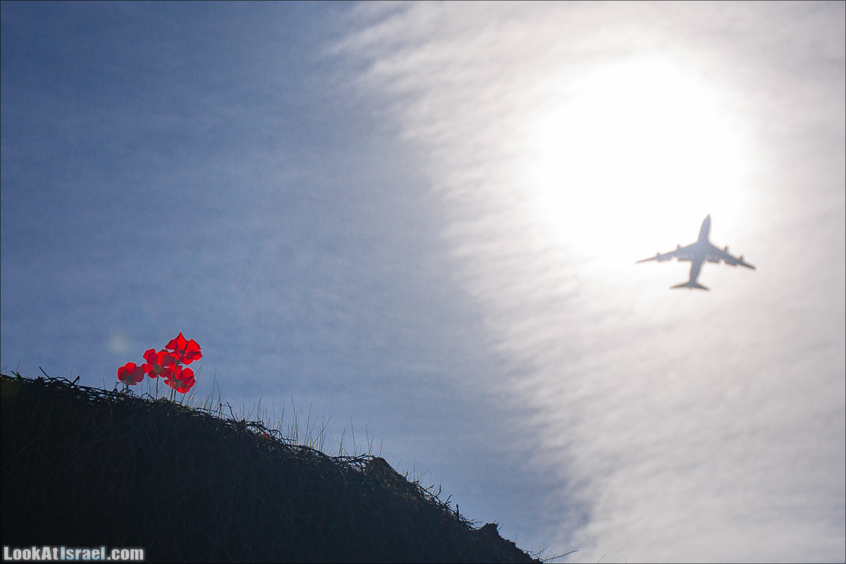Зима в парке библейской природы Неот Кдумим | חורף בנאות קדומים | LookAtIsrael.com - Фото путешествия по Израилю