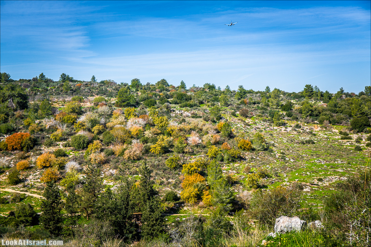 Зима в парке библейской природы Неот Кдумим | חורף בנאות קדומים | LookAtIsrael.com - Фото путешествия по Израилю