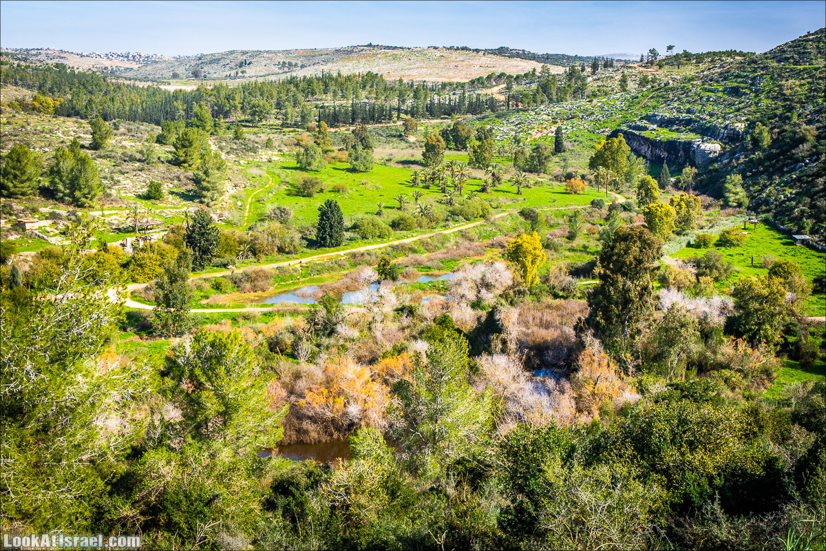 Зима в парке библейской природы Неот Кдумим | חורף בנאות קדומים | LookAtIsrael.com - Фото путешествия по Израилю