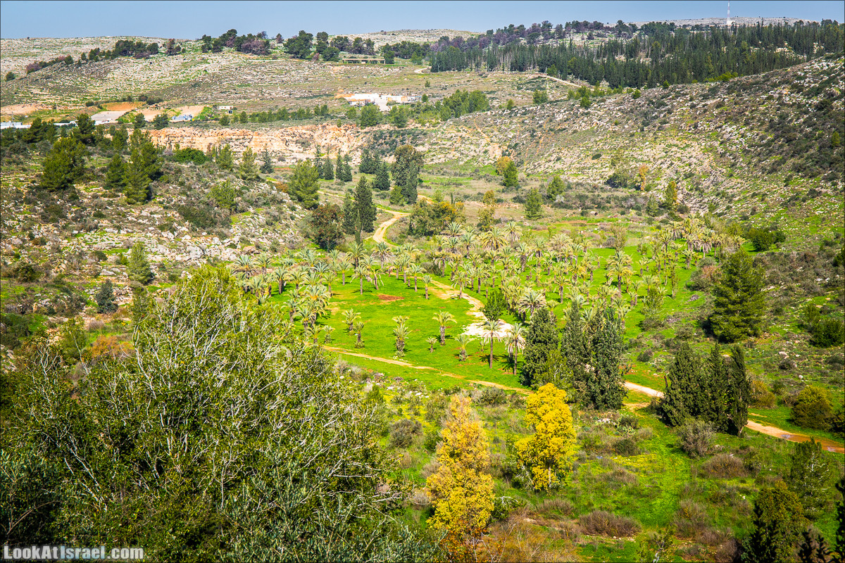 Зима в парке библейской природы Неот Кдумим | חורף בנאות קדומים | LookAtIsrael.com - Фото путешествия по Израилю