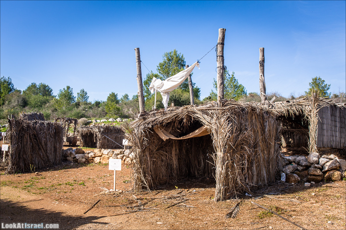 Зима в парке библейской природы Неот Кдумим | חורף בנאות קדומים | LookAtIsrael.com - Фото путешествия по Израилю