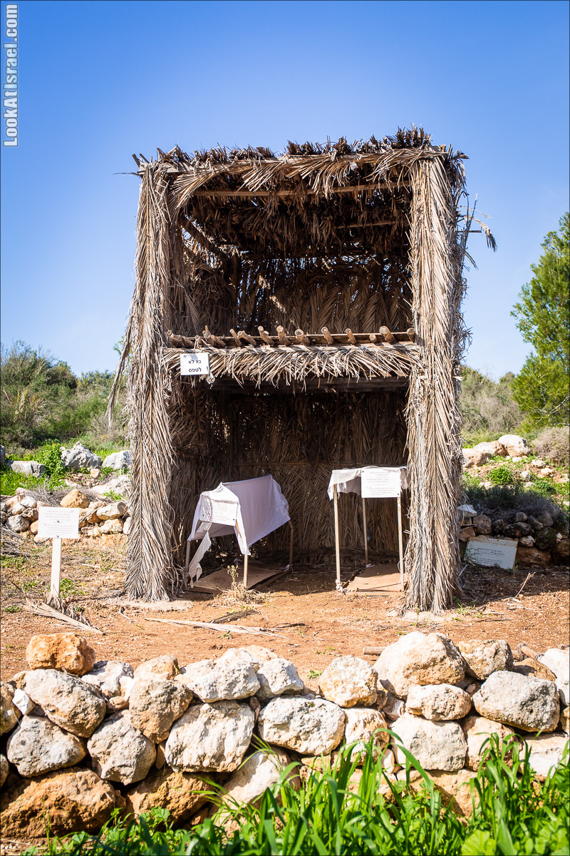Зима в парке библейской природы Неот Кдумим | חורף בנאות קדומים | LookAtIsrael.com - Фото путешествия по Израилю