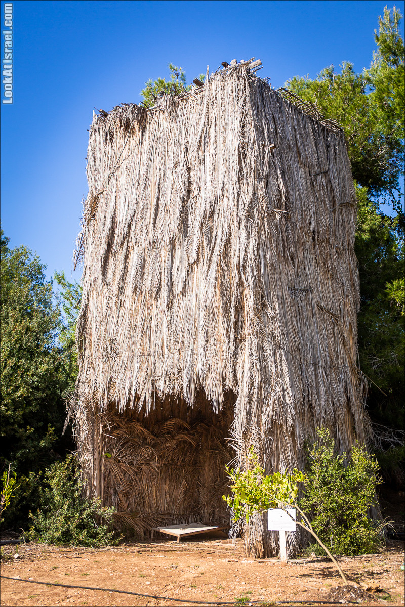 Зима в парке библейской природы Неот Кдумим | חורף בנאות קדומים | LookAtIsrael.com - Фото путешествия по Израилю
