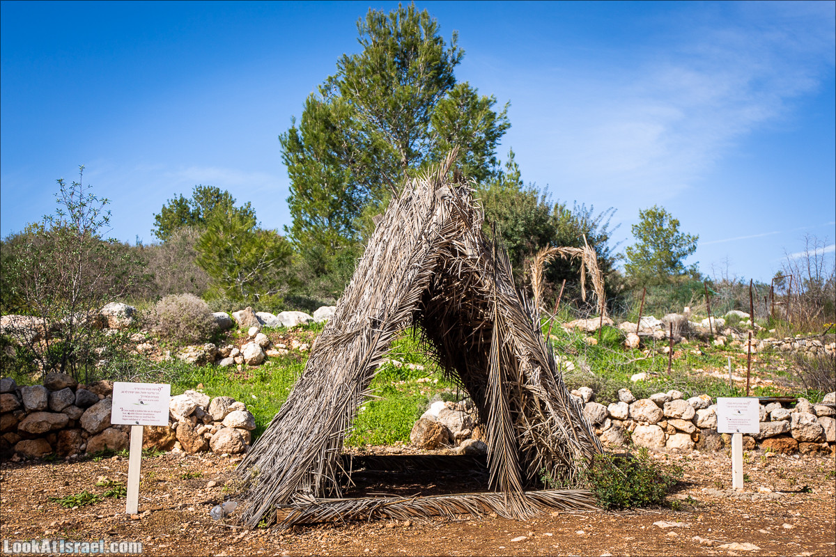 Зима в парке библейской природы Неот Кдумим | חורף בנאות קדומים | LookAtIsrael.com - Фото путешествия по Израилю
