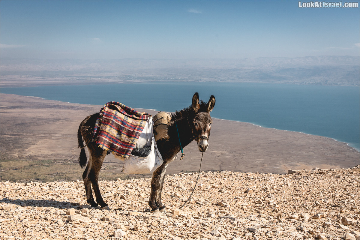 Весь Мацок ha-Этеким на джипах | מצוק העתקים טיול ג׳יפים | LookAtIsrael.com - Фото путешествия по Израилю