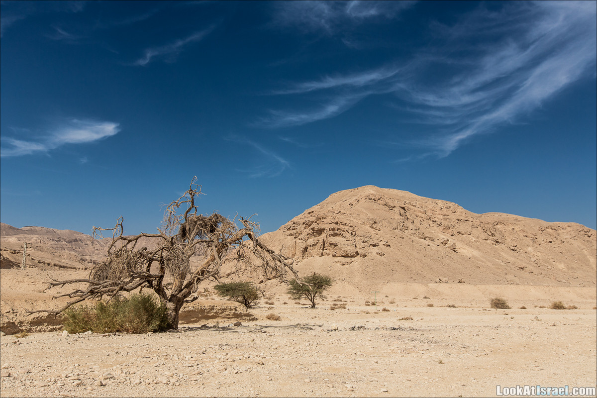 От Йотвата до Шахарут и обратно. 2-х дневный автономный маршрут | Hike from Yotvata to Shaharut and back | מסלול מיוטבתה לשחרות | LookAtIsrael.com - Фото путешествия по Израилю