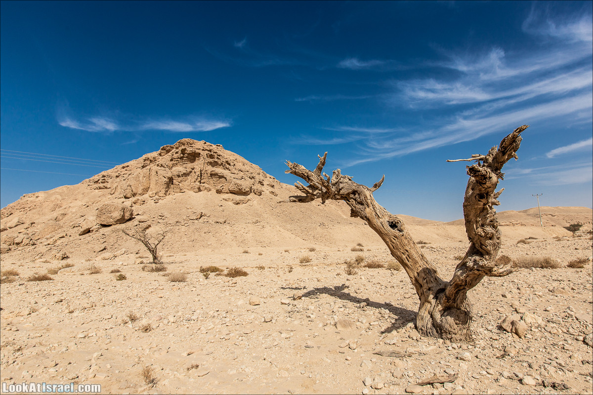От Йотвата до Шахарут и обратно. 2-х дневный автономный маршрут | Hike from Yotvata to Shaharut and back | מסלול מיוטבתה לשחרות | LookAtIsrael.com - Фото путешествия по Израилю
