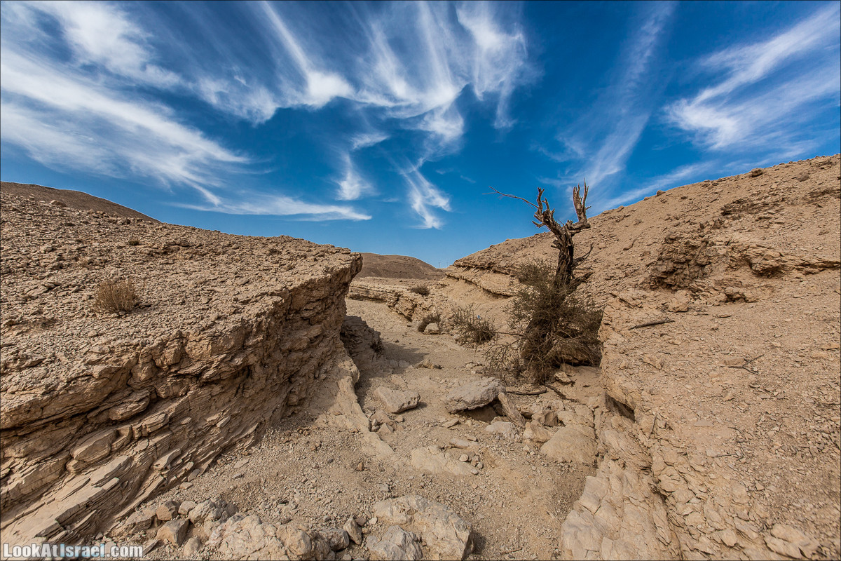 От Йотвата до Шахарут и обратно. 2-х дневный автономный маршрут | Hike from Yotvata to Shaharut and back | מסלול מיוטבתה לשחרות | LookAtIsrael.com - Фото путешествия по Израилю