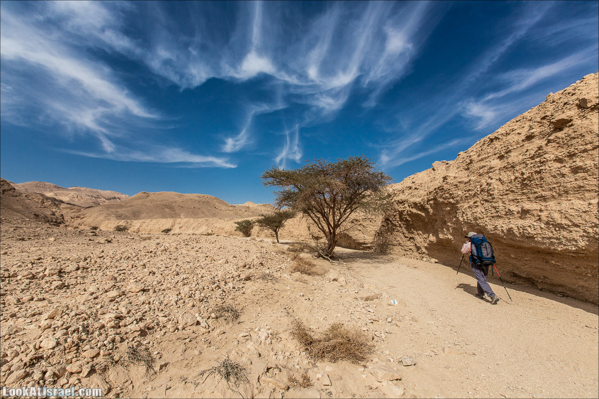 От Йотвата до Шахарут и обратно. 2-х дневный автономный маршрут | Hike from Yotvata to Shaharut and back | מסלול מיוטבתה לשחרות | LookAtIsrael.com - Фото путешествия по Израилю
