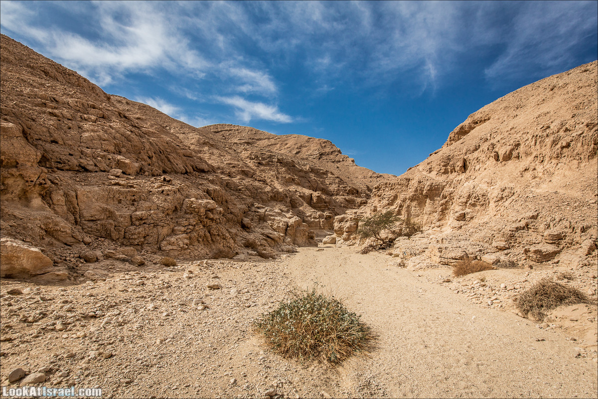 От Йотвата до Шахарут и обратно. 2-х дневный автономный маршрут | Hike from Yotvata to Shaharut and back | מסלול מיוטבתה לשחרות | LookAtIsrael.com - Фото путешествия по Израилю