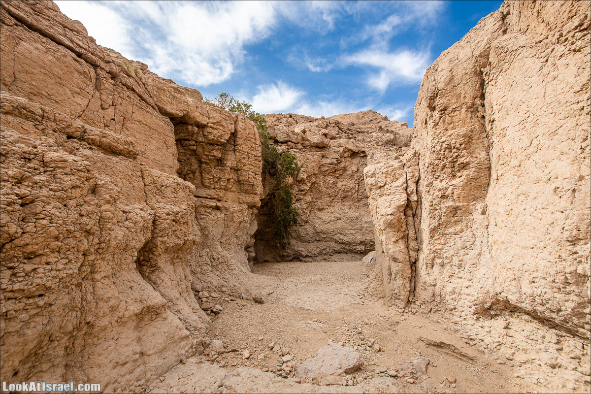 От Йотвата до Шахарут и обратно. 2-х дневный автономный маршрут | Hike from Yotvata to Shaharut and back | מסלול מיוטבתה לשחרות | LookAtIsrael.com - Фото путешествия по Израилю