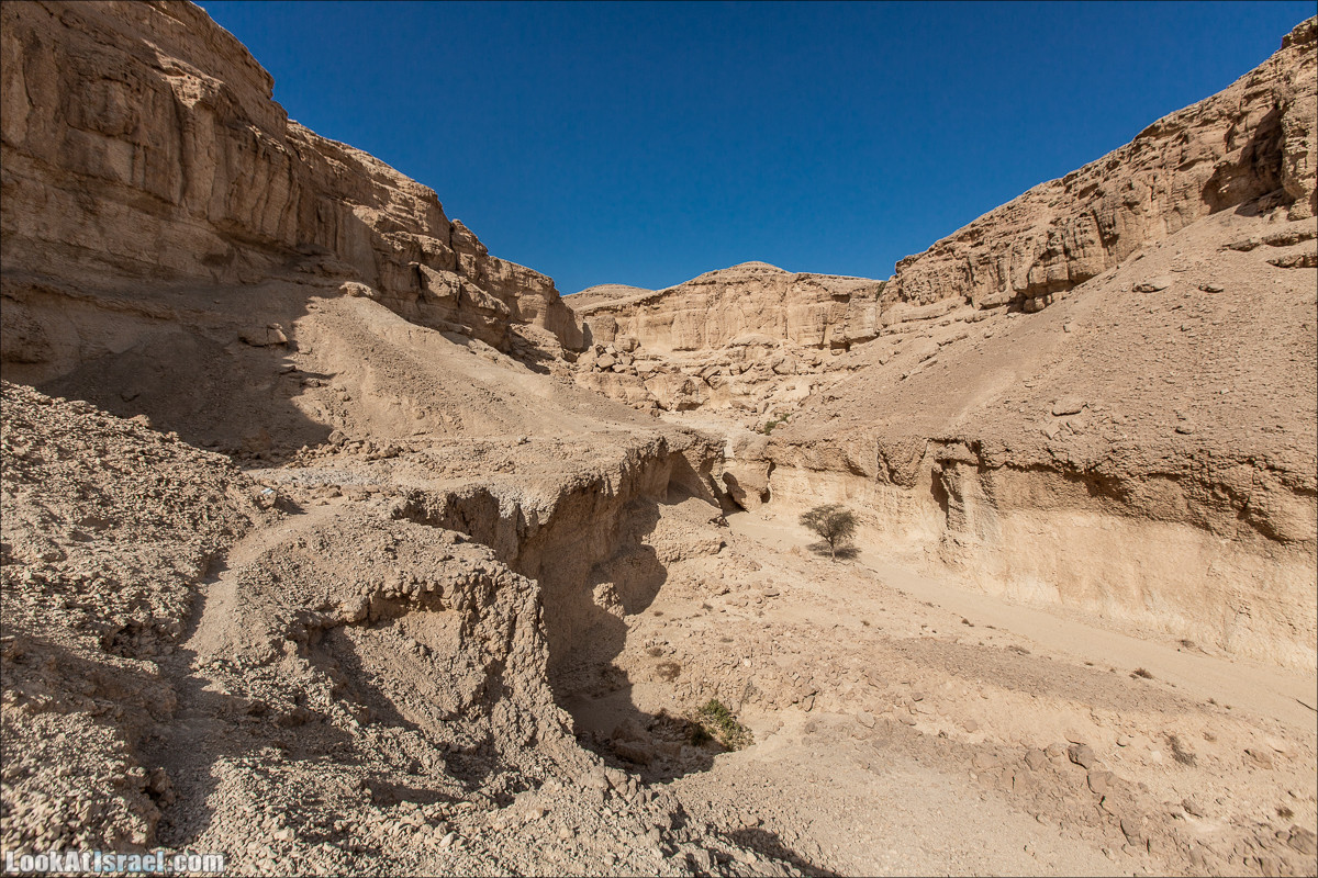 От Йотвата до Шахарут и обратно. 2-х дневный автономный маршрут | Hike from Yotvata to Shaharut and back | מסלול מיוטבתה לשחרות | LookAtIsrael.com - Фото путешествия по Израилю