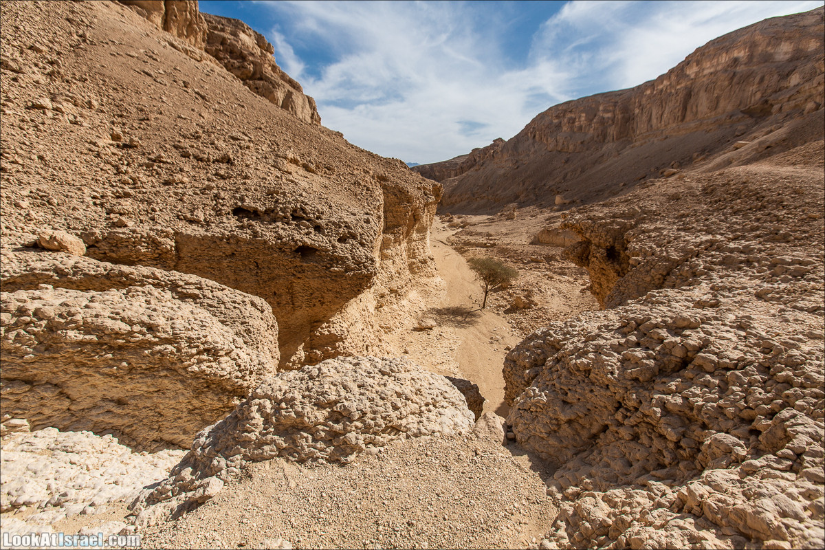 От Йотвата до Шахарут и обратно. 2-х дневный автономный маршрут | Hike from Yotvata to Shaharut and back | מסלול מיוטבתה לשחרות | LookAtIsrael.com - Фото путешествия по Израилю