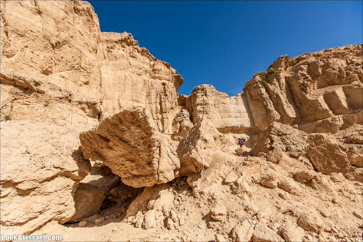 От Йотвата до Шахарут и обратно. 2-х дневный автономный маршрут | Hike from Yotvata to Shaharut and back | מסלול מיוטבתה לשחרות | LookAtIsrael.com - Фото путешествия по Израилю