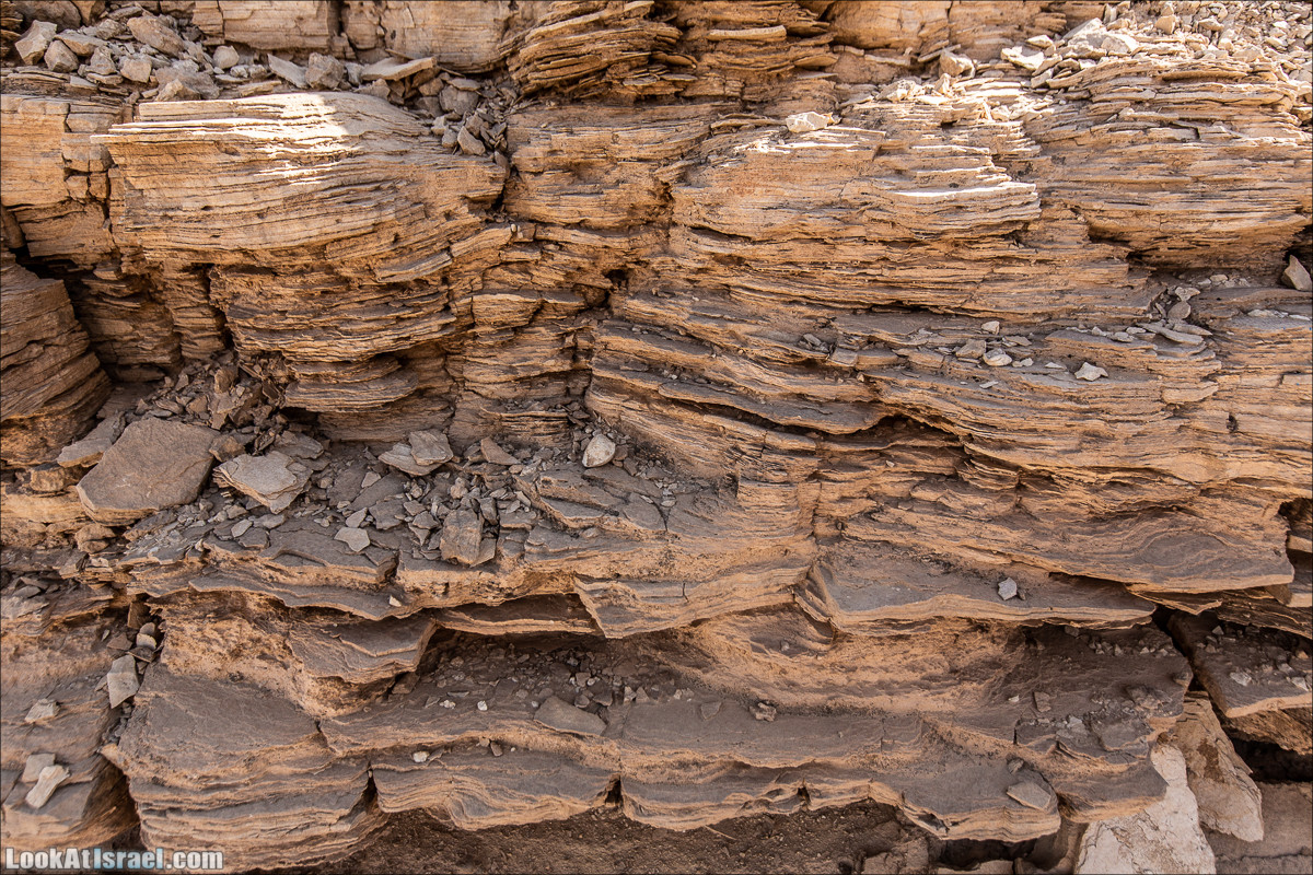 От Йотвата до Шахарут и обратно. 2-х дневный автономный маршрут | Hike from Yotvata to Shaharut and back | מסלול מיוטבתה לשחרות | LookAtIsrael.com - Фото путешествия по Израилю