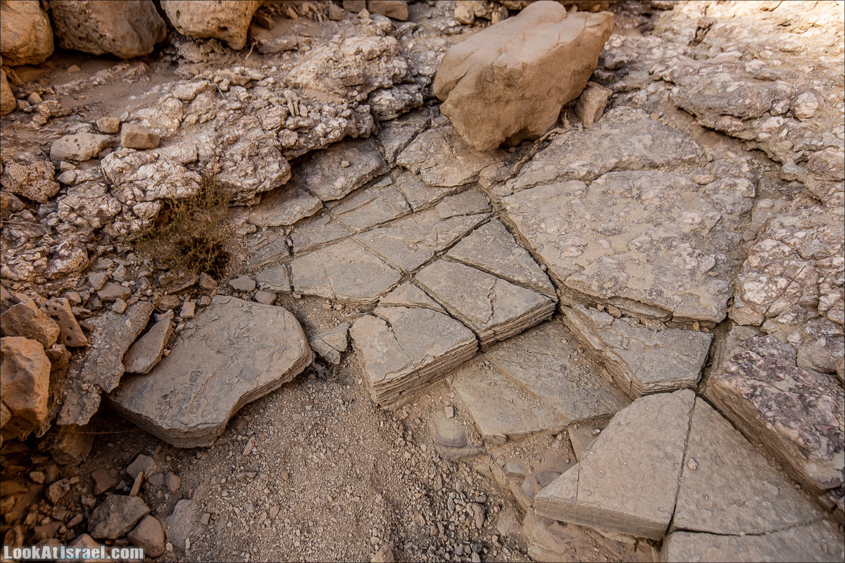 От Йотвата до Шахарут и обратно. 2-х дневный автономный маршрут | Hike from Yotvata to Shaharut and back | מסלול מיוטבתה לשחרות | LookAtIsrael.com - Фото путешествия по Израилю