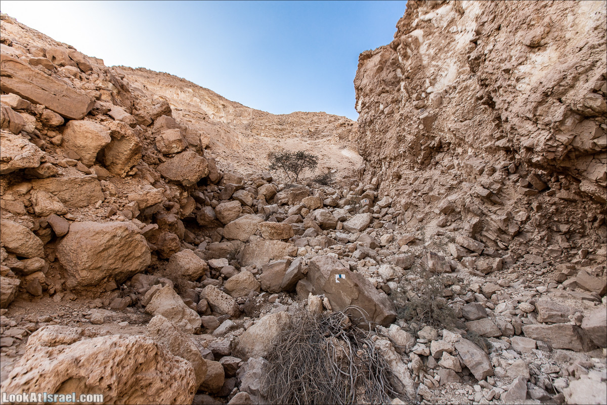 От Йотвата до Шахарут и обратно. 2-х дневный автономный маршрут | Hike from Yotvata to Shaharut and back | מסלול מיוטבתה לשחרות | LookAtIsrael.com - Фото путешествия по Израилю